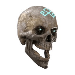 Branded Skull